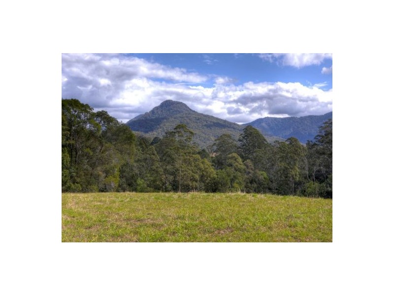 Lot 6 Roses Road, Bellingen NSW 2454