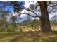 Lot 6 Roses Road, Bellingen NSW 2454