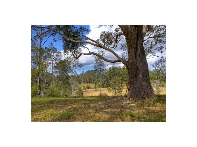 Lot 6 Roses Road, Bellingen NSW 2454
