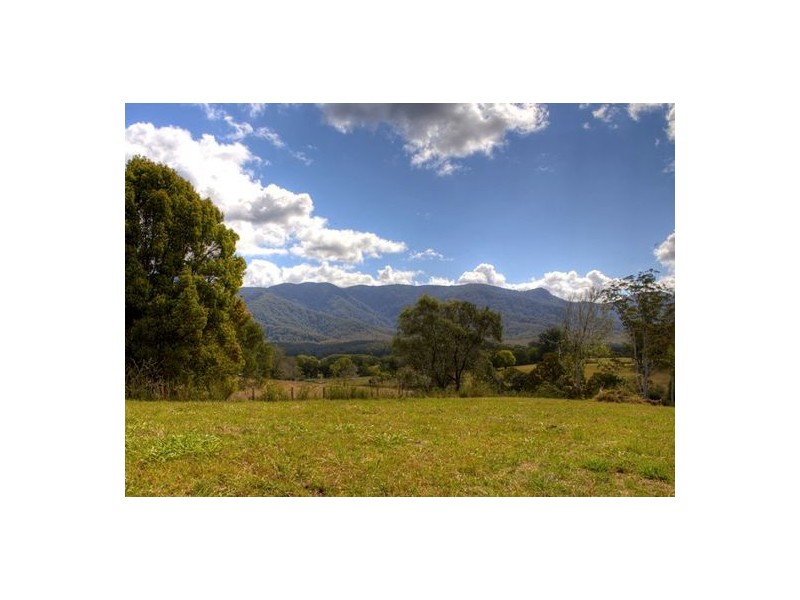 Lot 6 Roses Road, Bellingen NSW 2454