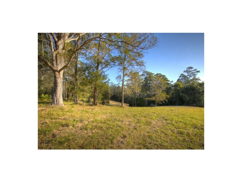 Lot 6 Roses Road, Bellingen NSW 2454