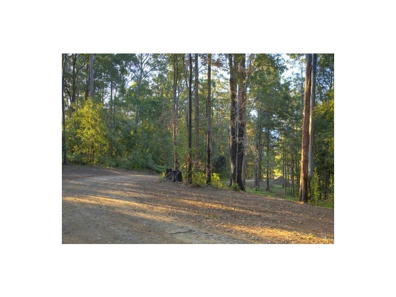 Lot 6 Roses Road, Bellingen NSW 2454