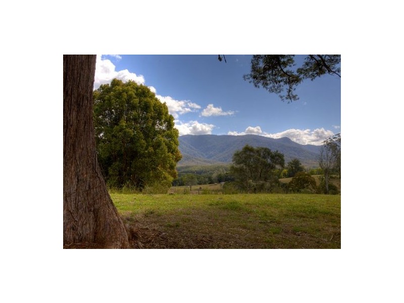 Lot 6 Roses Road, Bellingen NSW 2454