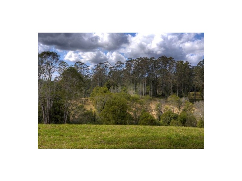 Lot 6 Roses Road, Bellingen NSW 2454