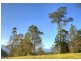 Lot 6 Roses Road, Bellingen NSW 2454