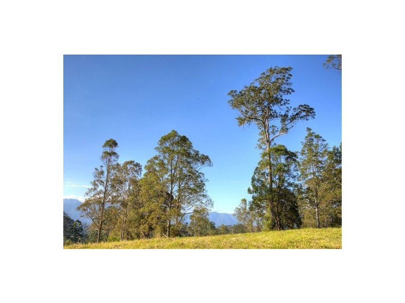 Lot 6 Roses Road, Bellingen NSW 2454