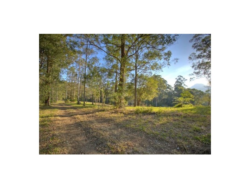 Lot 6 Roses Road, Bellingen NSW 2454