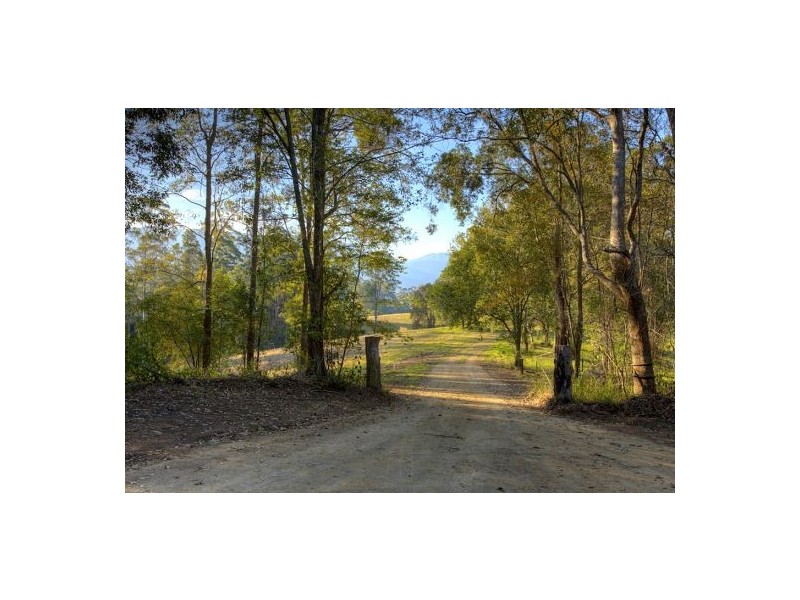 Lot 6 Roses Road, Bellingen NSW 2454