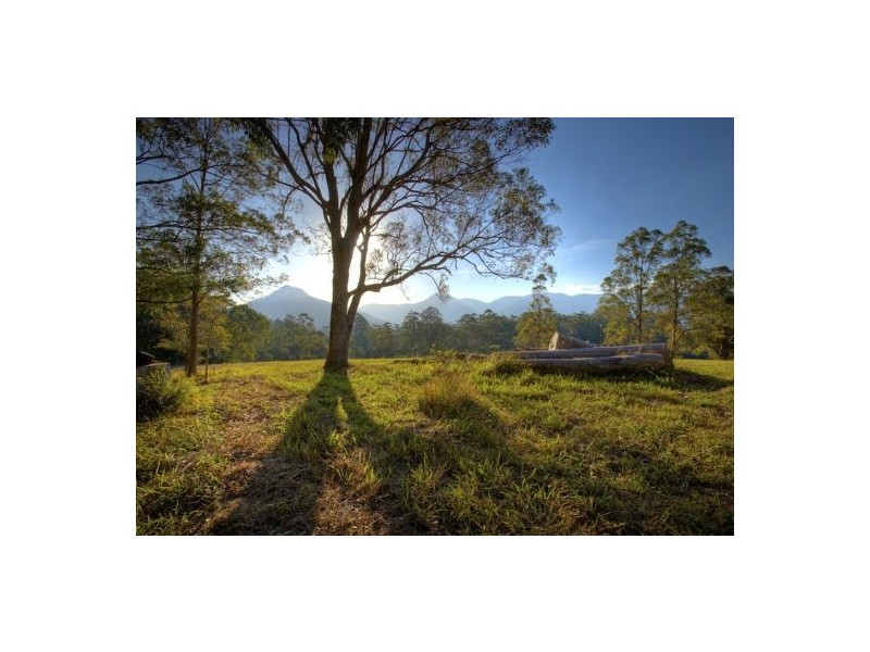 Lot 6 Roses Road, Bellingen NSW 2454