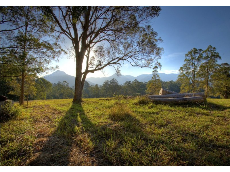 Bellingen NSW 2454