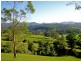 Bellingen NSW 2454