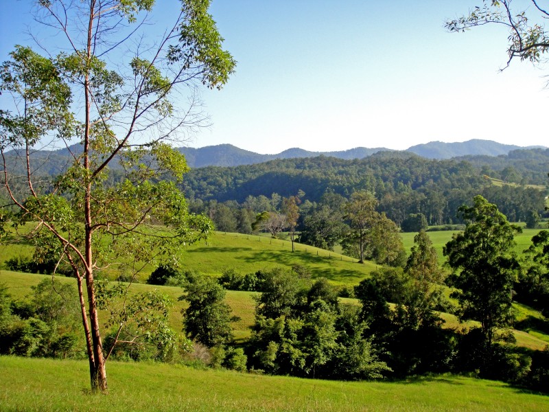 Bellingen NSW 2454