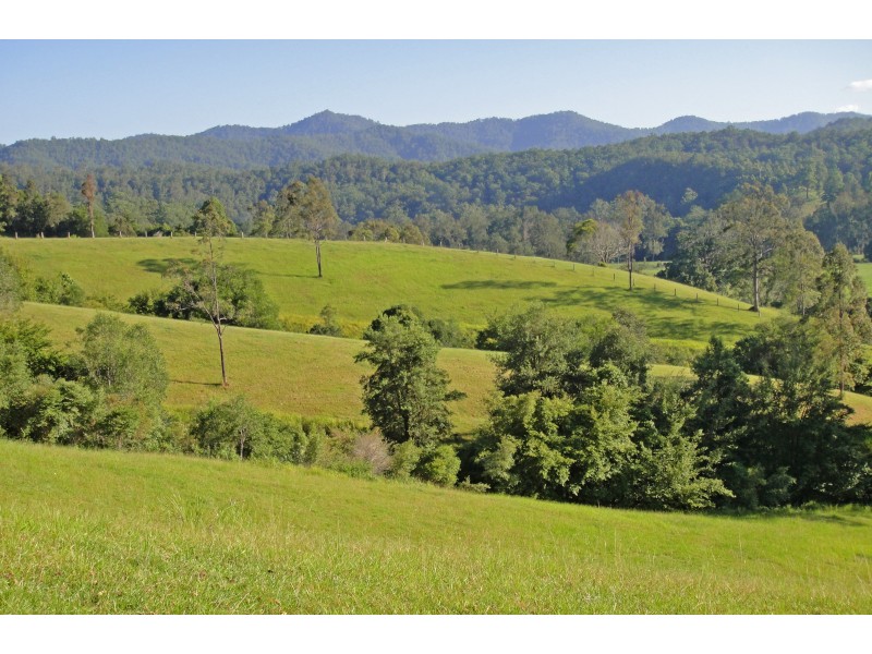 Bellingen NSW 2454