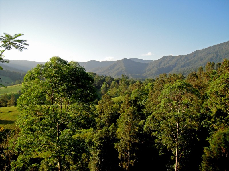 Bellingen NSW 2454