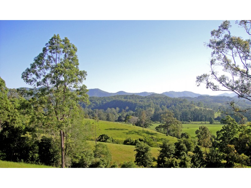 Bellingen NSW 2454