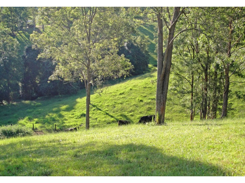 Bellingen NSW 2454