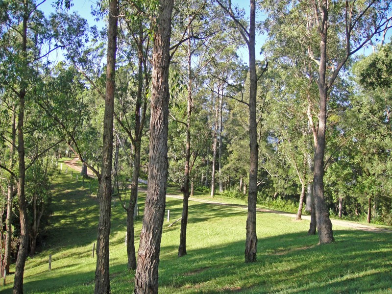 Bellingen NSW 2454