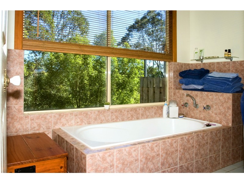 Bellingen NSW 2454