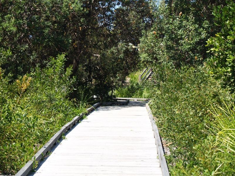 Lot 111 North Sapphire Road, Sapphire Beach NSW 2450