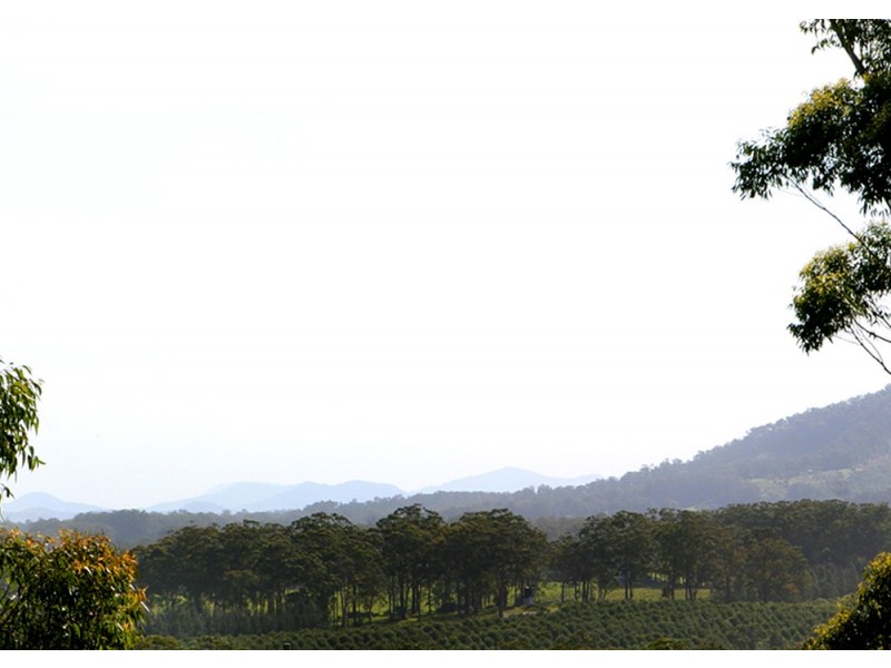 Valla Beach NSW 2448