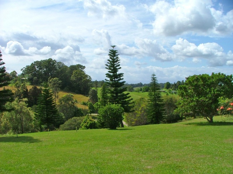 Bellingen NSW 2454