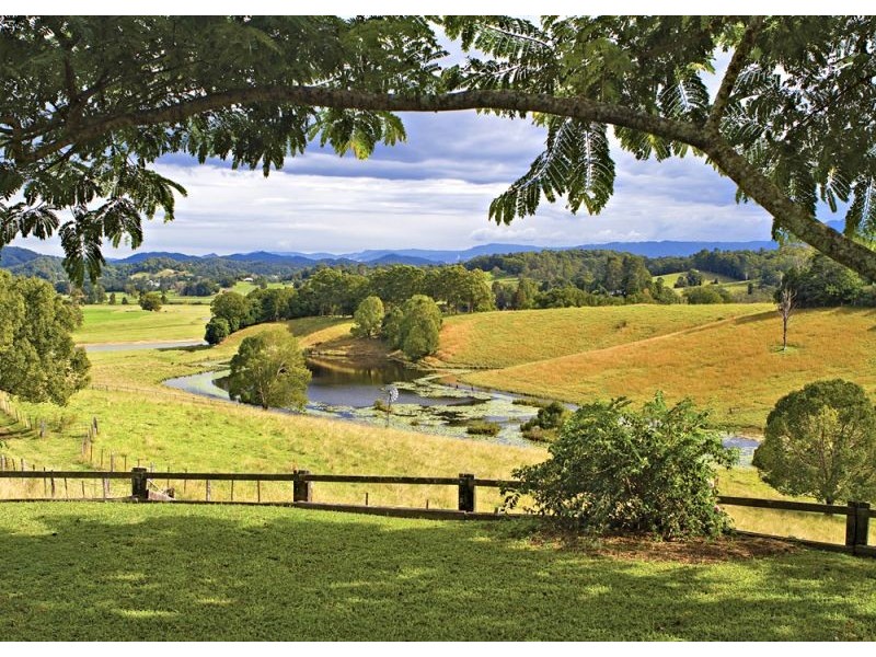 754 North Bank Road, Bellingen NSW 2454