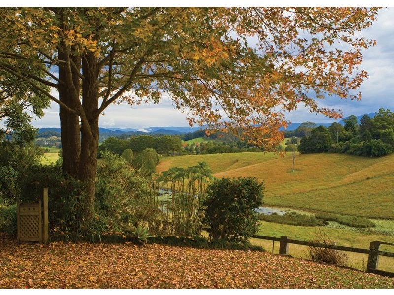 754 North Bank Road, Bellingen NSW 2454