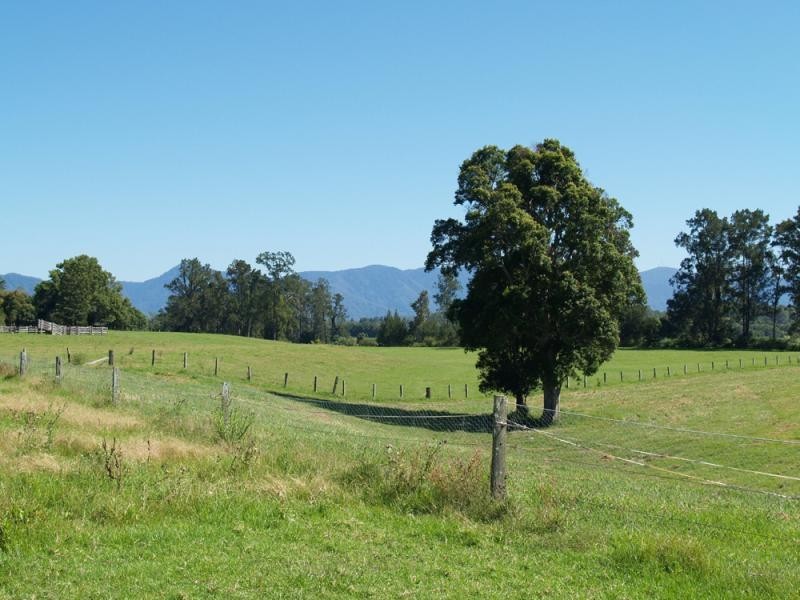 Bellingen NSW 2454