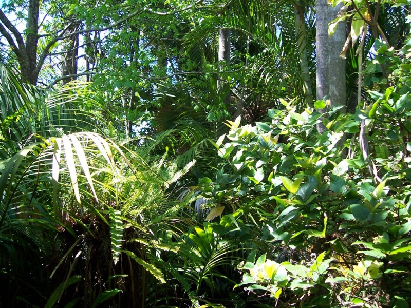 Coffs Harbour NSW 2450