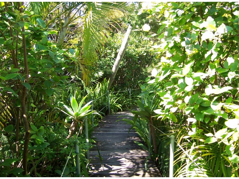 Coffs Harbour NSW 2450