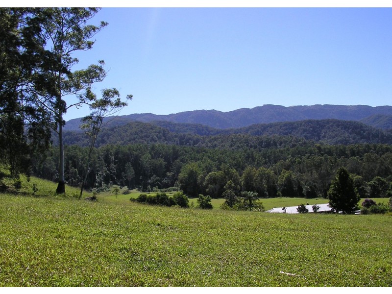 Bellingen NSW 2454
