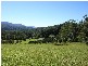 Bellingen NSW 2454
