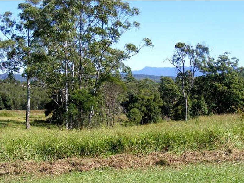 220 Tuckers Rock Road, Repton NSW 2454