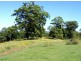 220 Tuckers Rock Road, Repton NSW 2454