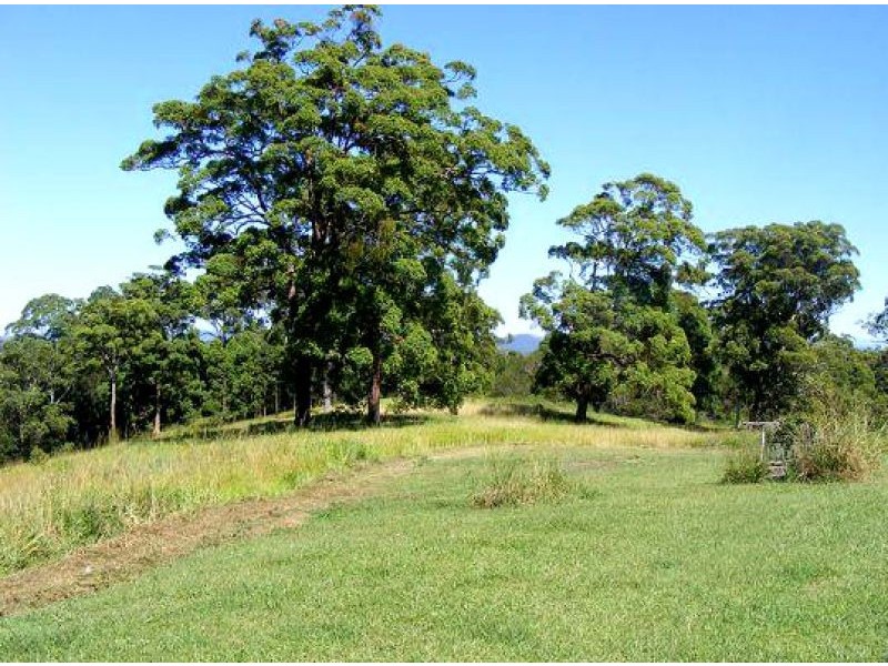 220 Tuckers Rock Road, Repton NSW 2454