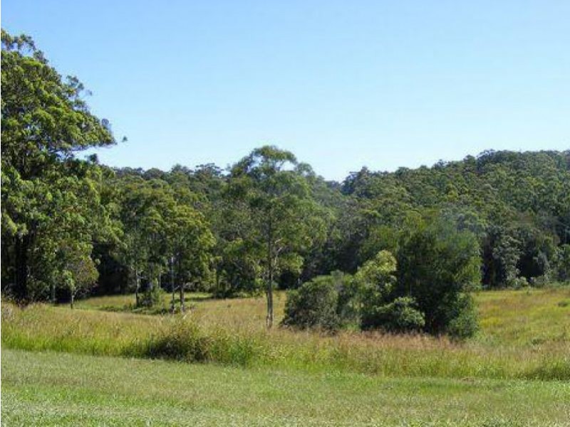 220 Tuckers Rock Road, Repton NSW 2454