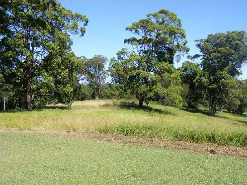 220 Tuckers Rock Road, Repton NSW 2454