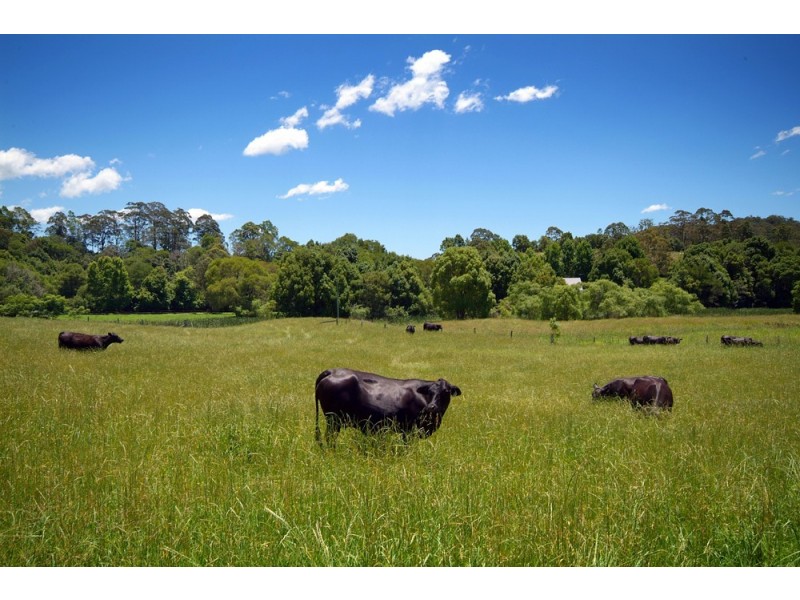 Upper Orara NSW 2450