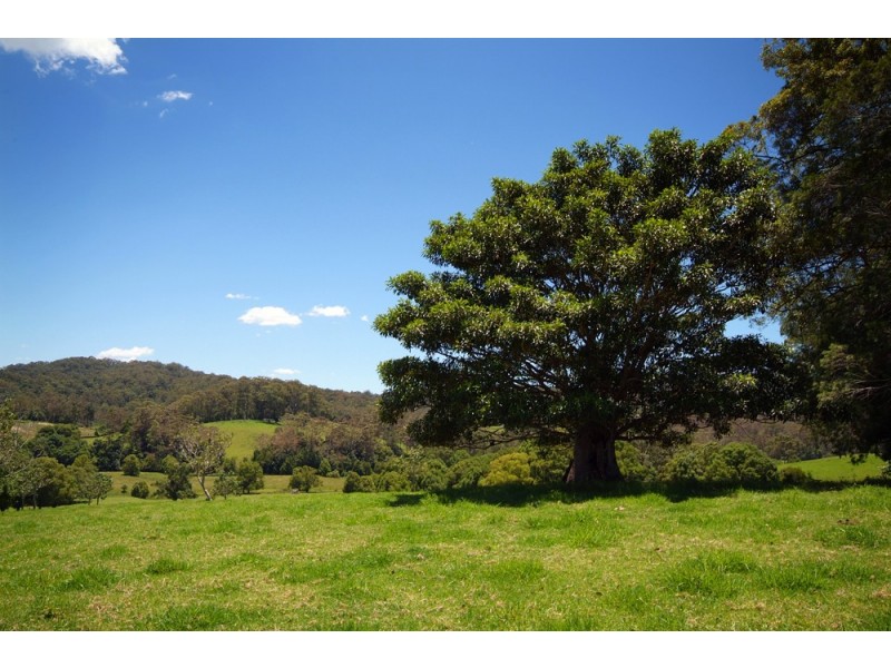 Upper Orara NSW 2450