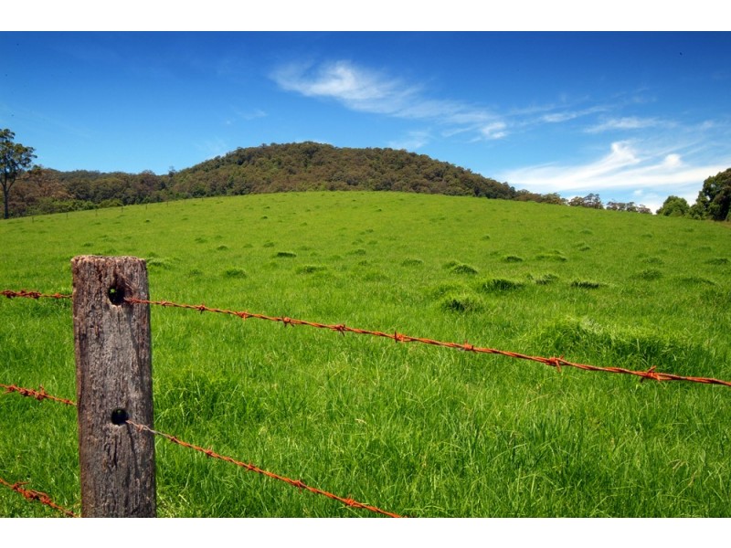 Upper Orara NSW 2450