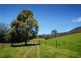 Upper Orara NSW 2450
