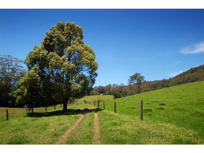 Upper Orara NSW 2450