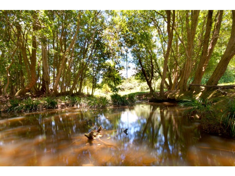 Upper Orara NSW 2450