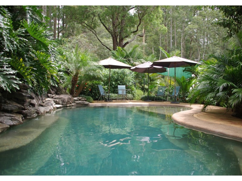 Bellingen NSW 2454
