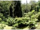Bellingen NSW 2454