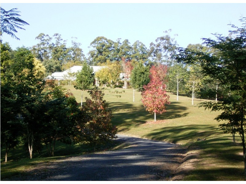 97 Mahers Road, Bellingen NSW 2454