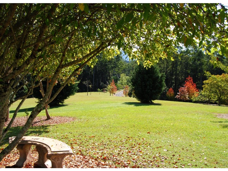 97 Mahers Road, Bellingen NSW 2454