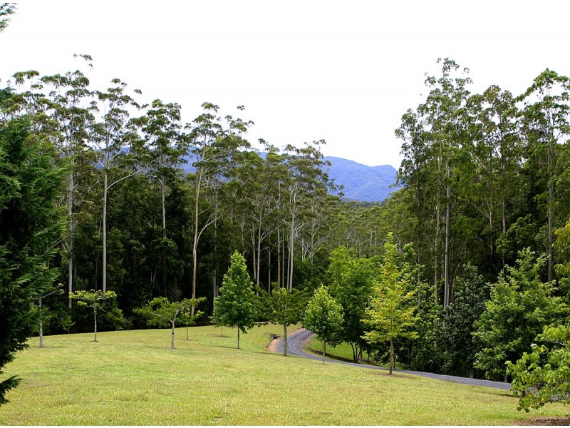 97 Mahers Road, Bellingen NSW 2454