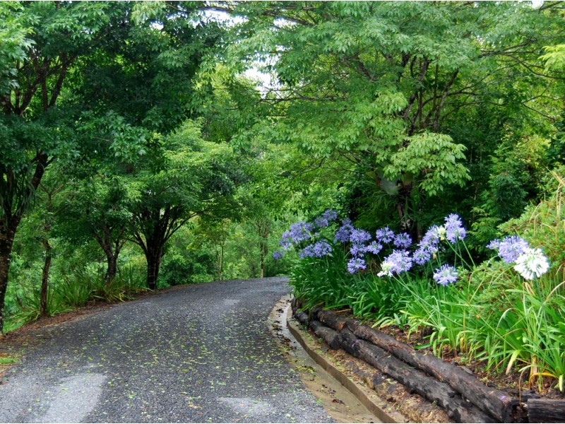 97 Mahers Road, Bellingen NSW 2454