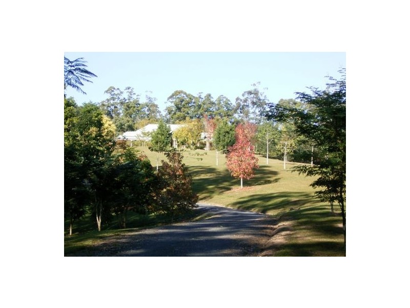 97 Mahers Rd, Bellingen NSW 2454